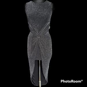 NWOT Projecteve shimmery bodycon❤️